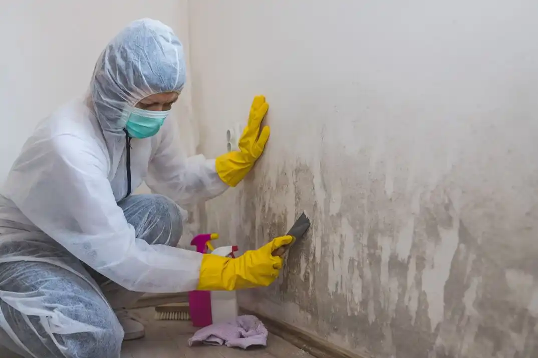 water damage restoration service Southland Terrace